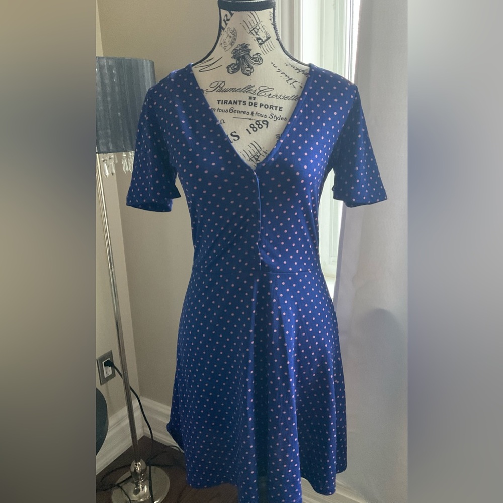 Zara Blue Polka Dot Dress